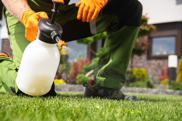 Professional Pest Control in Coffeyville, KS