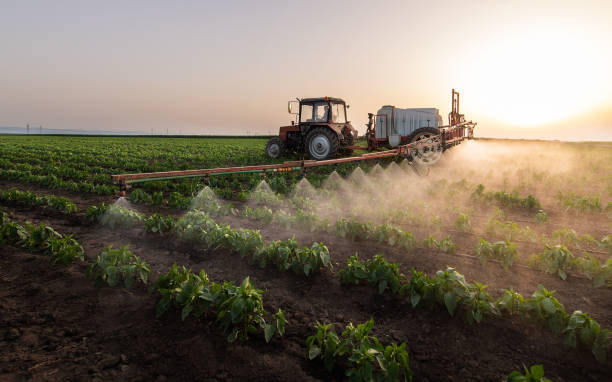 Best Commercial Pest Control Services  in Coffeyville, KS