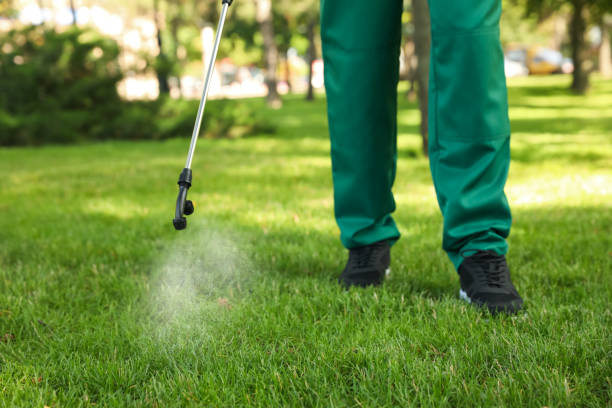 Best Affordable Pest Control Services  in Coffeyville, KS