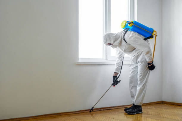Best Flea Control Services  in Coffeyville, KS