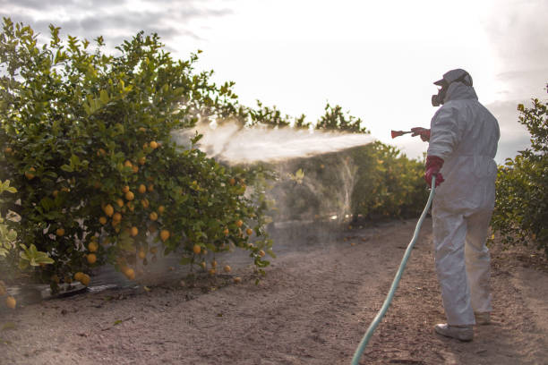 Pest Control for Restaurants in Coffeyville, KS