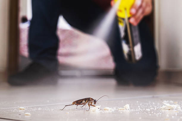 Best Pest Inspection Near Me  in Coffeyville, KS